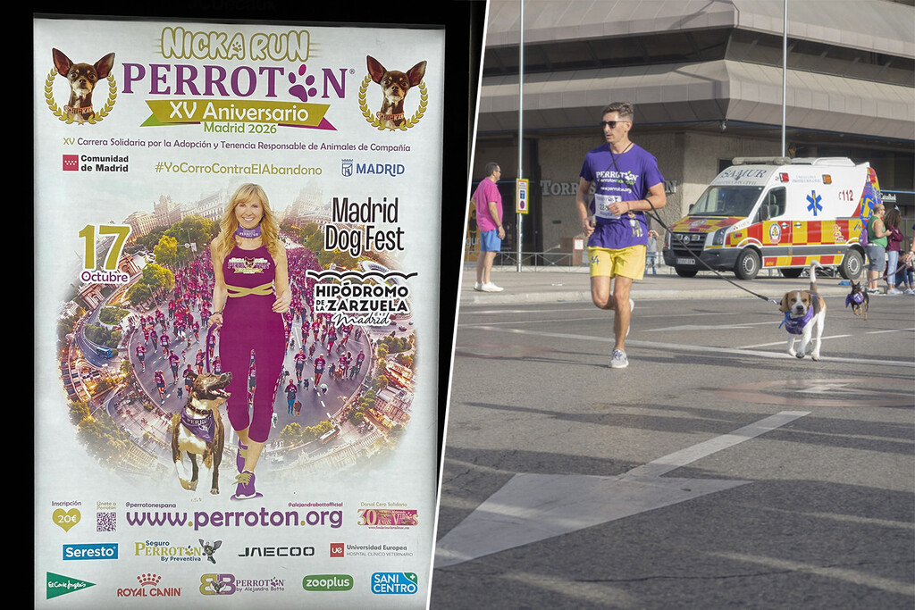 Perrotón Madrid: El Gran Evento Canino que Impulsa la Conciencia y la Economía de las Mascotas