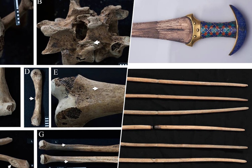 Nuevas evidencias óseas sugieren que las princesas del Antiguo Egipto utilizaban activamente sus armas, desmintiendo su función 