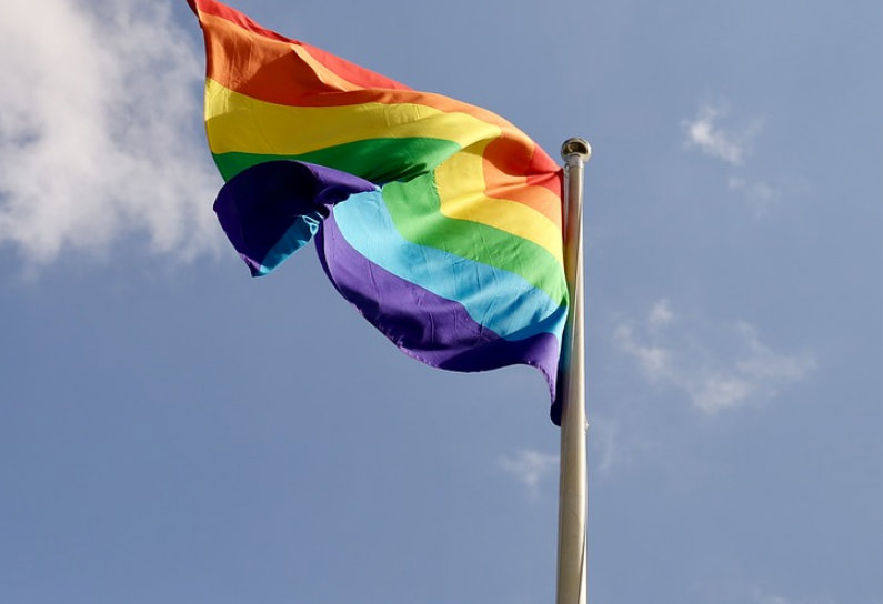 Figuras Públicas Reconocidas que se Identifican como Pansexuales, Incluyendo a Alejandro Tommasi