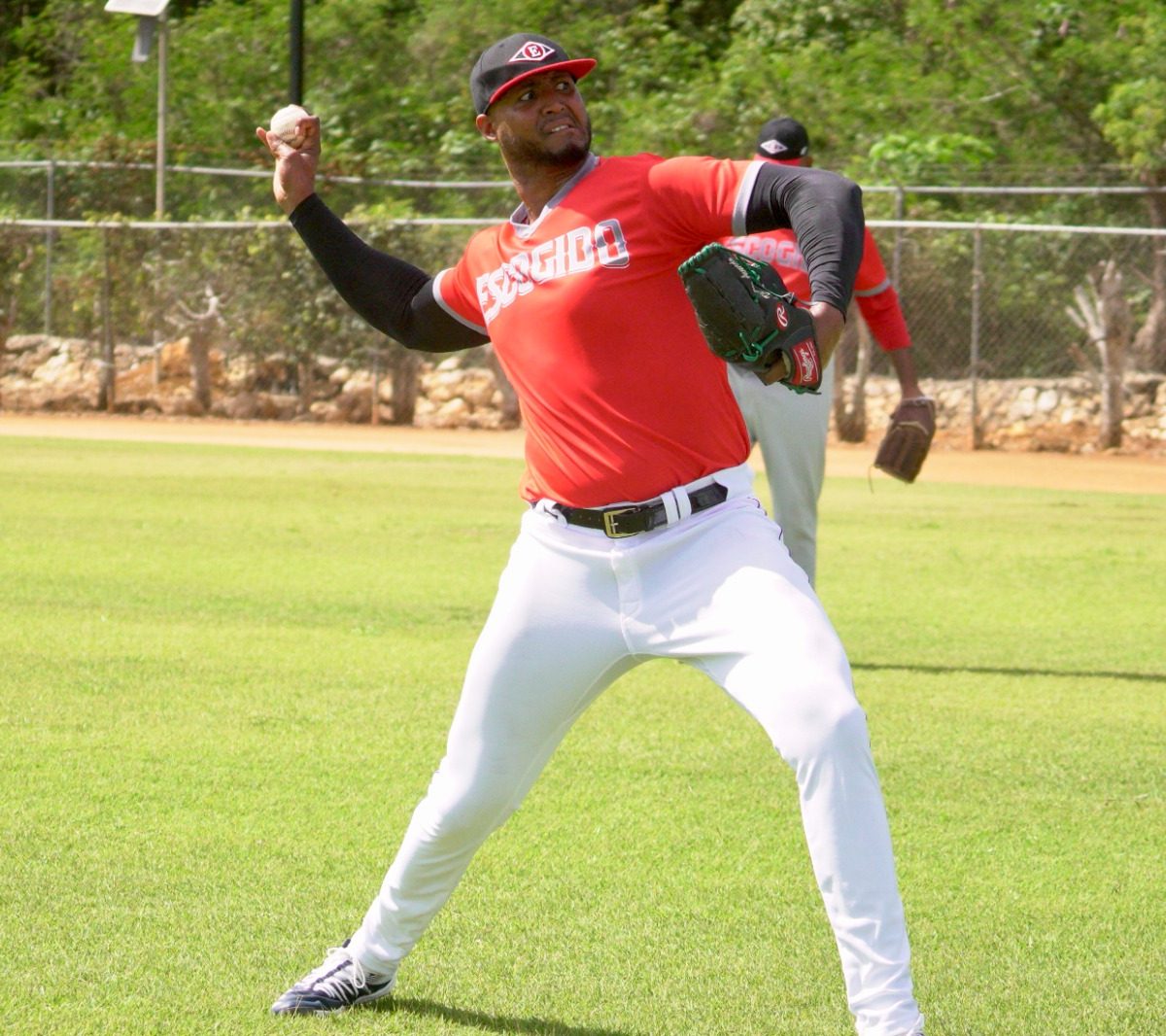 Los Leones del Escogido Anuncian Siete Juegos de Preparación para la Próxima Temporada