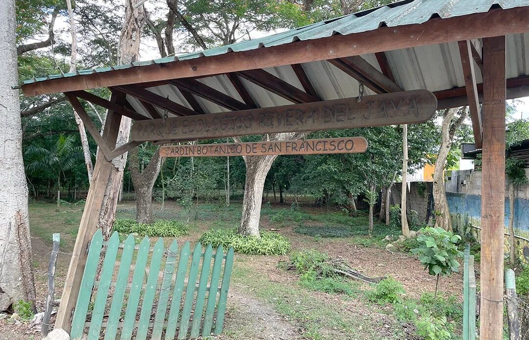 Ministerio Público Detiene Construcciones Ilegales en Parque Ecológico Rivera del Río Jaya
