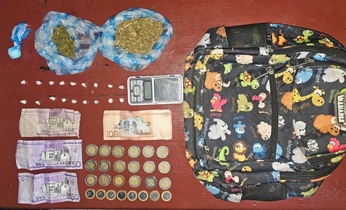 Cuatro Detenidos y Material Ilegal Incautado en Operativos Policiales en Peravia y San Cristóbal