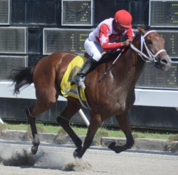 Vittoriano, el Destacado Favorito en las Carreras del Quinto Centenario