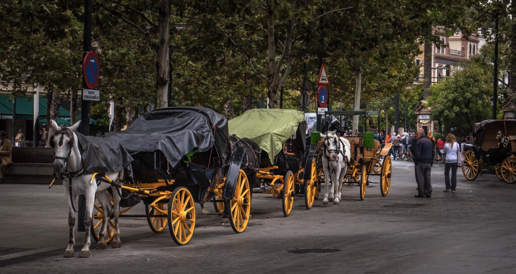 Irregularidades Laborales y de Bienestar Animal en el Servicio de Coches de Caballos de Sevilla