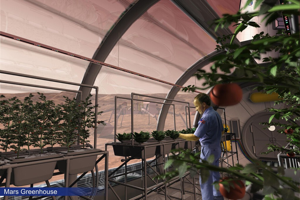 Hongos: Un Aliado Clave para el Cultivo de Alimentos en la Luna y Marte