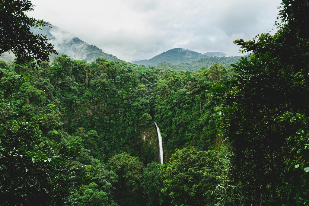 Costa Rica: De la Deforestación Masiva a la Recuperación Forestal Ejemplar en Tres Décadas