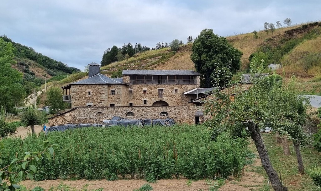 Descubren una bodega monástica del siglo XVIII oculta bajo una antigua granja en El Bierzo