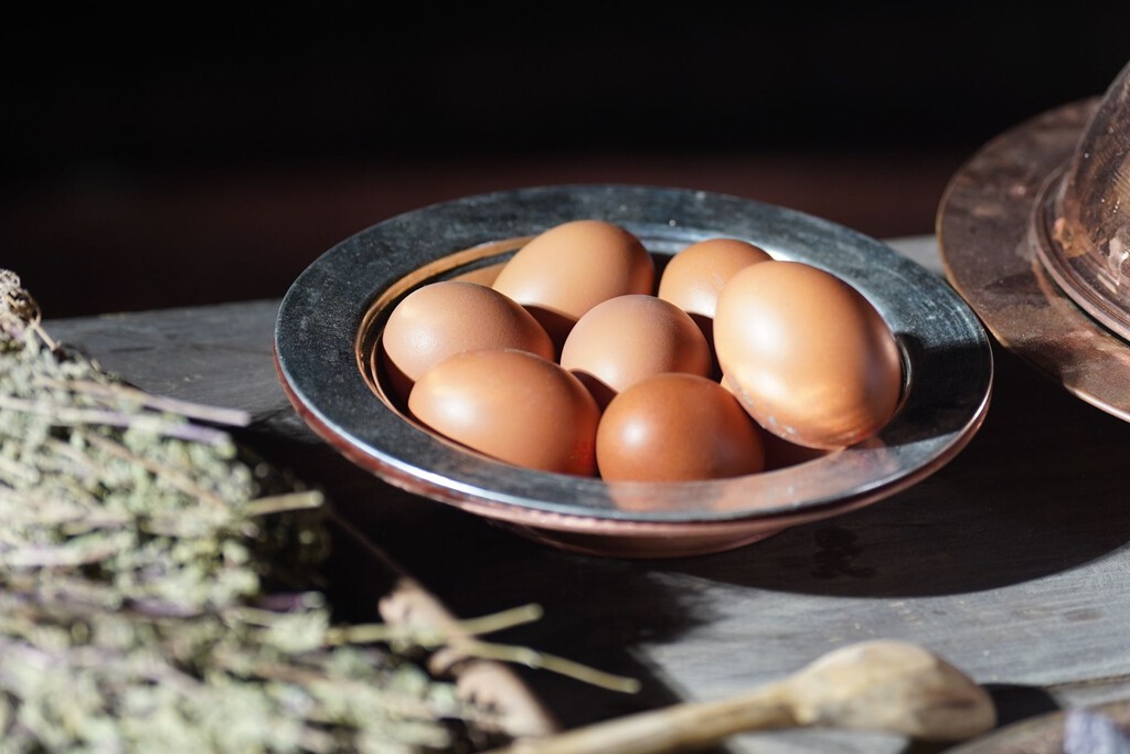 El huevo y el colesterol: Desmontando un mito dietético con la ciencia actual