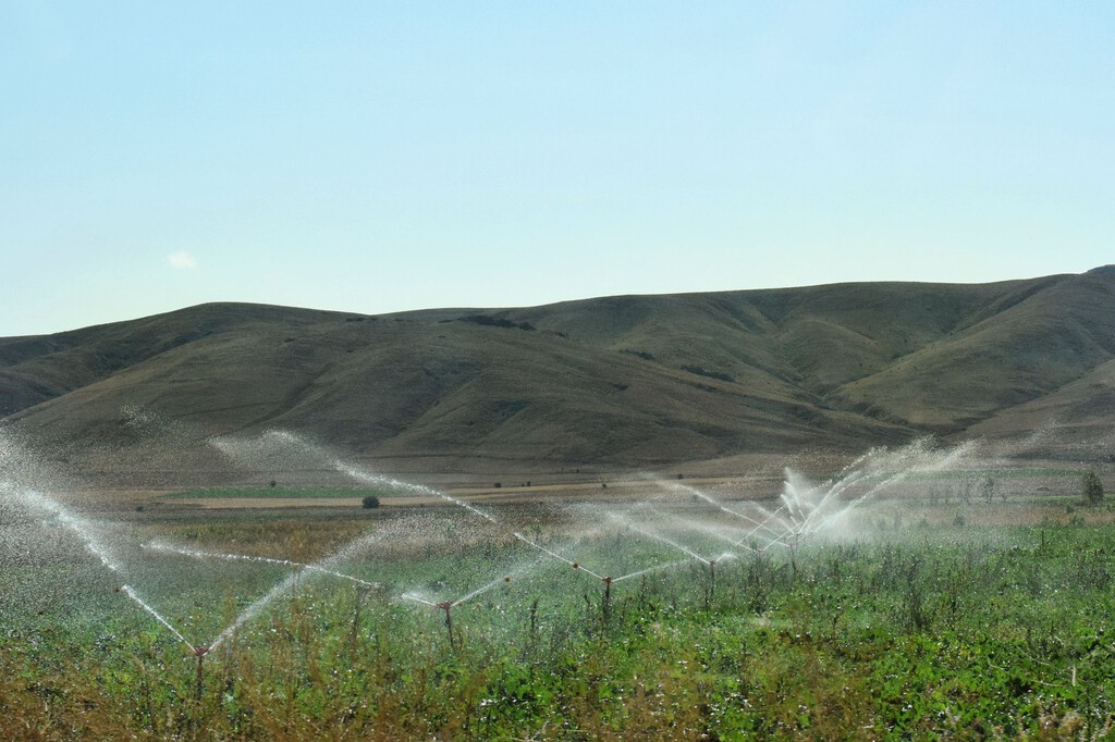 Estudio de WWF revela extracción ilegal de agua en seis acuíferos clave de España