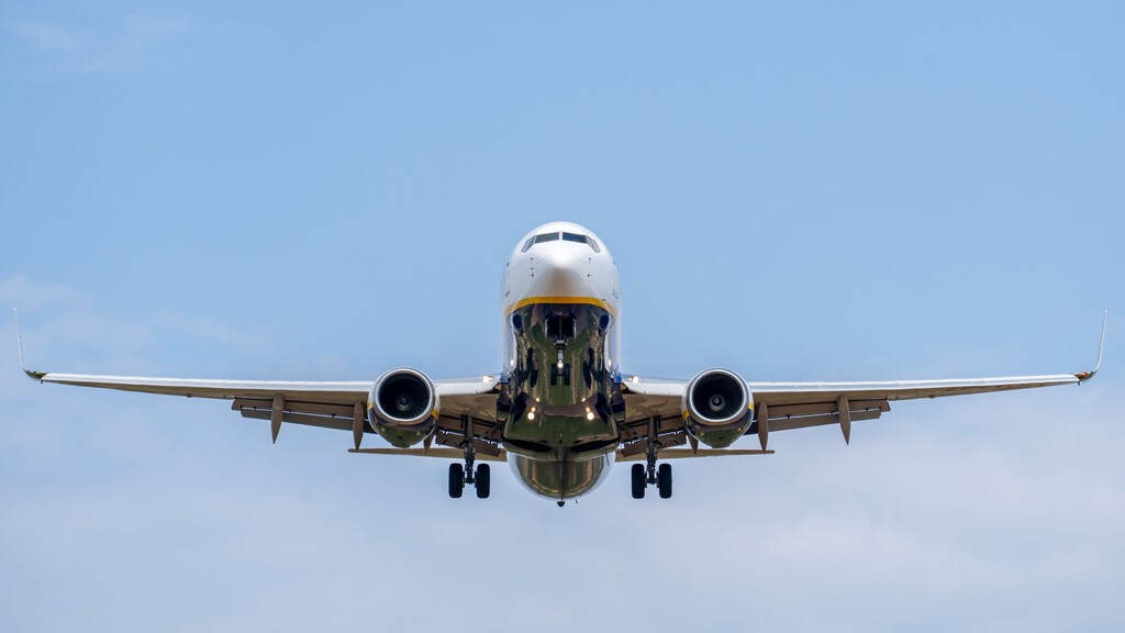 Investigación Japonesa Revela que Alas de Avión Rugosas Podrían Ser Más Eficientes que las Lisas