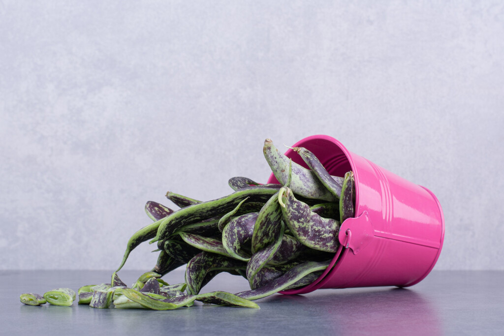 Cómo Revitalizar Plantas Aparentemente Muertas Tras el Verano: Guía de Rescate