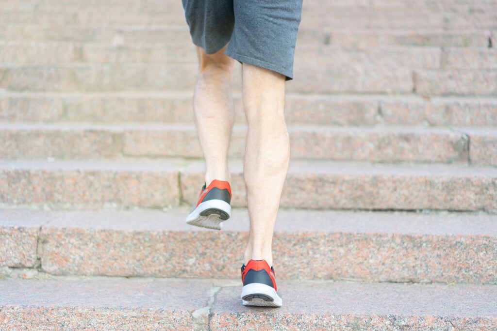 Caminar vs. Subir Escaleras: ¿Qué Ejercicio Fortalece Más las Piernas en la Vejez?