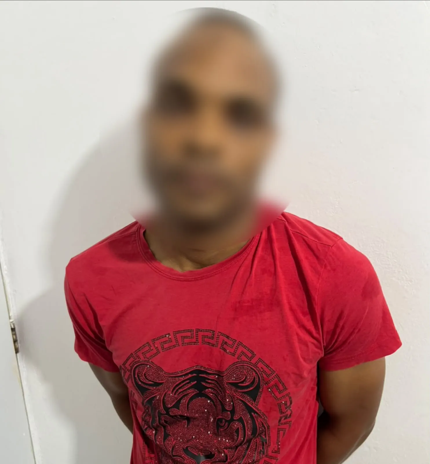 Detenido en Santiago un Individuo Implicado en Alegados Abusos Sexuales Contra Cuatro Niñas