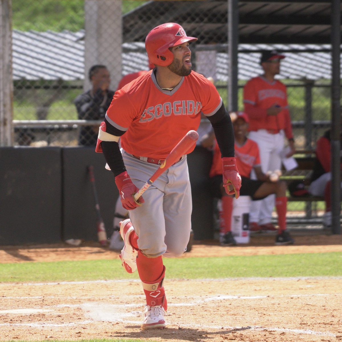 José Marmolejos Batea su Primer Jonrón de la Pretemporada con los Leones del Escogido