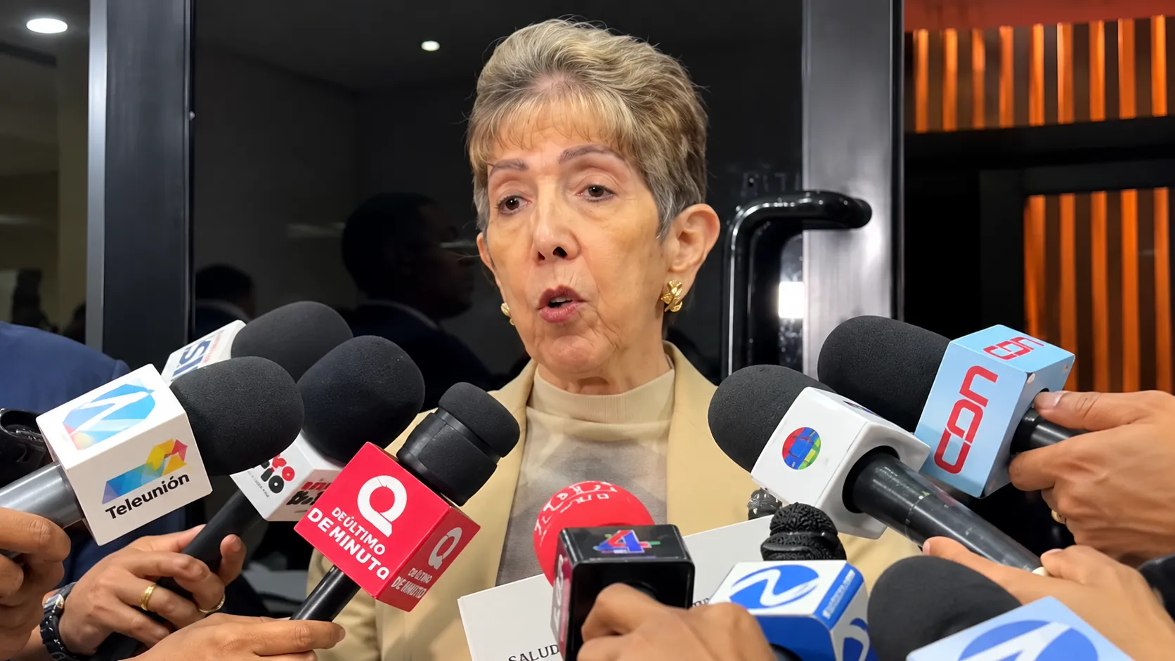 Ginette Bournigal defiende la seguridad fronteriza y urge a controlar las pandillas en Haití