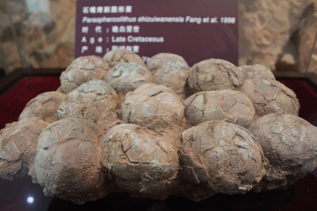 Hallazgo de huevos de titanosaurio en la Patagonia sugiere que los dinosaurios utilizaban incubadoras vegetales