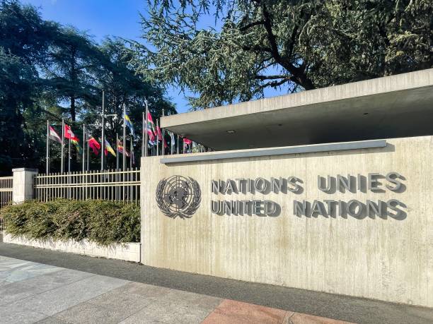 Investigador de la ONU: Extranjeros en Ucrania son Víctimas de Trata, No Mercenarios