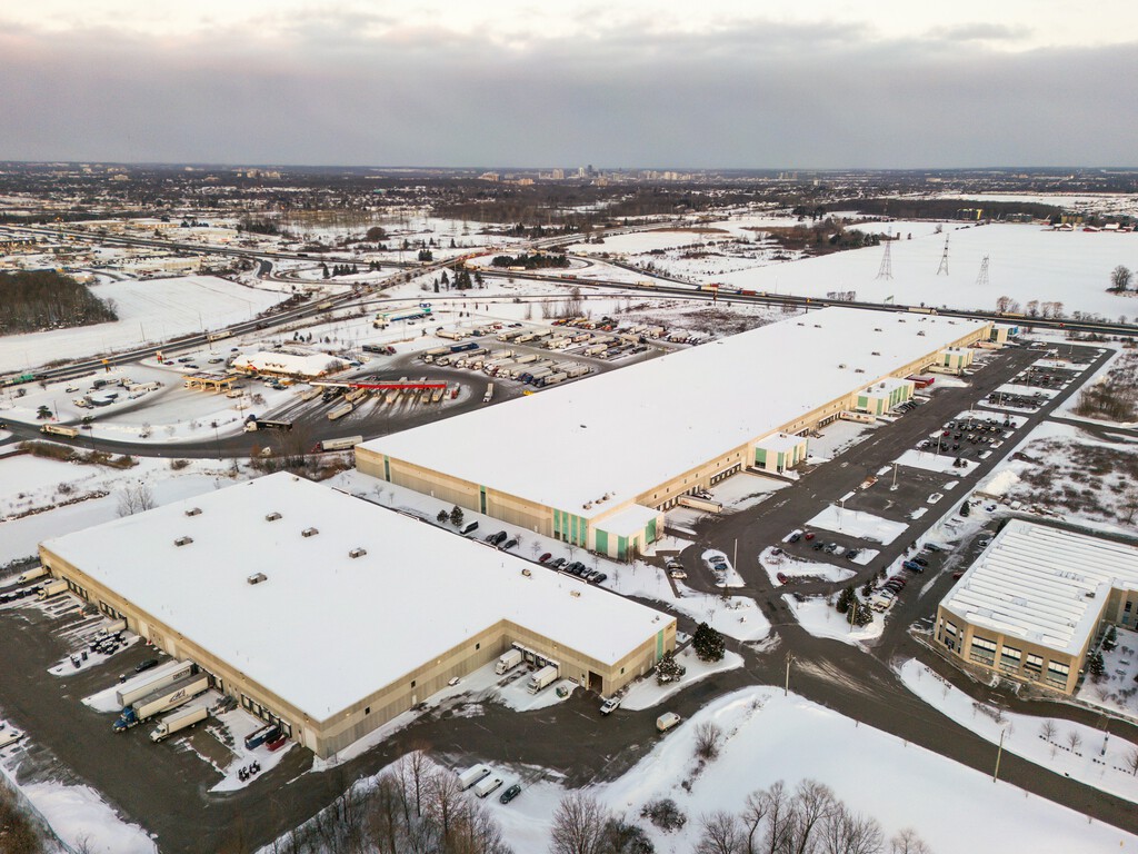 Finlandia Detiene la Construcción de Centros de Datos de Google por Tala Ilegal de Árboles