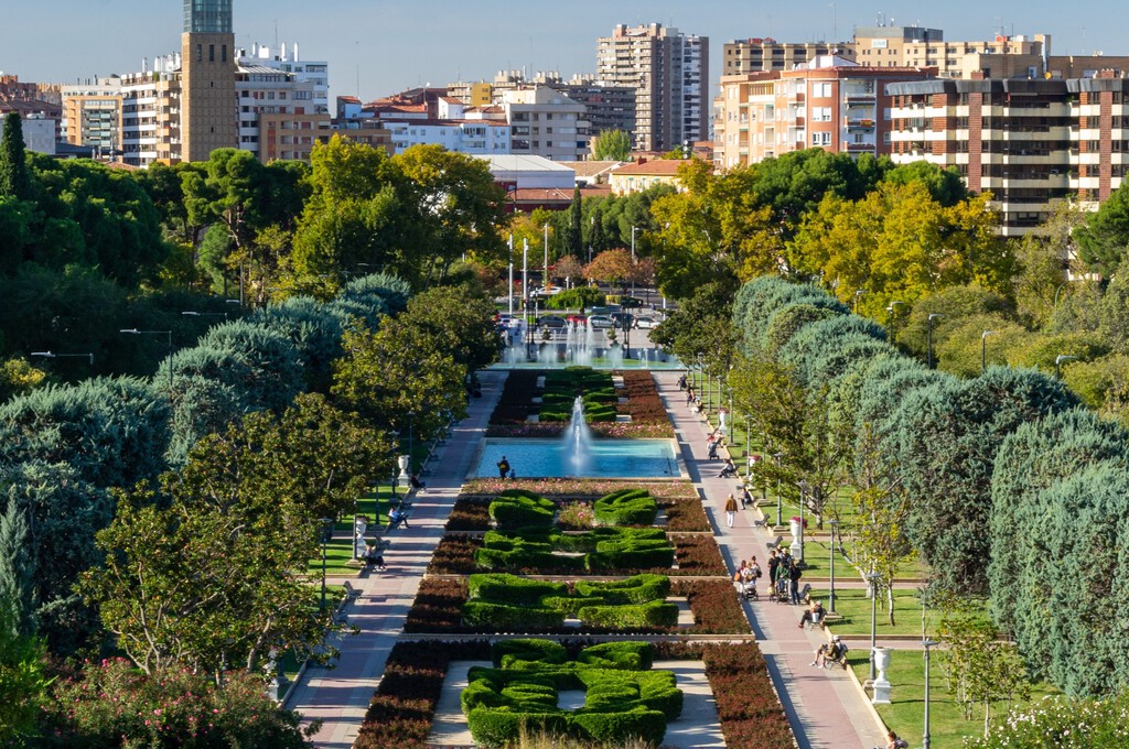 La preocupante disminución del arbolado urbano en ciudades españolas: ¿Miedo, urbanismo o falta de gestión?